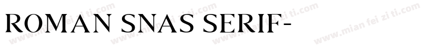 roman snas serif字体转换